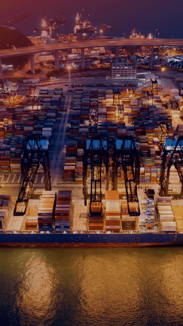 Shandong Supply Chain (Qingdao) Co., Ltd
